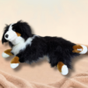 0456 Sassy the Dog – 3.0 kg – 55 cm