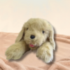 Rusty the Dog – 3.6 kg – 56 cm