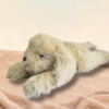 Rusty the Dog – 3.6 kg – 56 cm