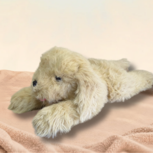 0470 Rusty the Dog – 3.6 kg – 56 cm